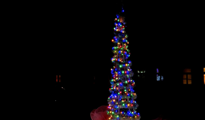 Vianočná výzdoba 2025