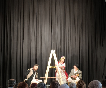 Divadlo Rysavá jalovica 18.01.2026