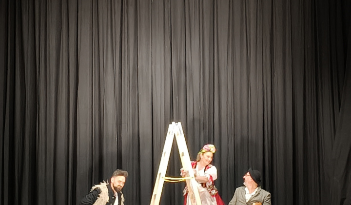 Divadlo Rysavá jalovica 18.01.2026