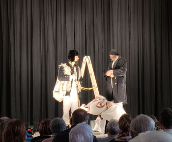 Divadlo Rysavá jalovica 18.01.2026