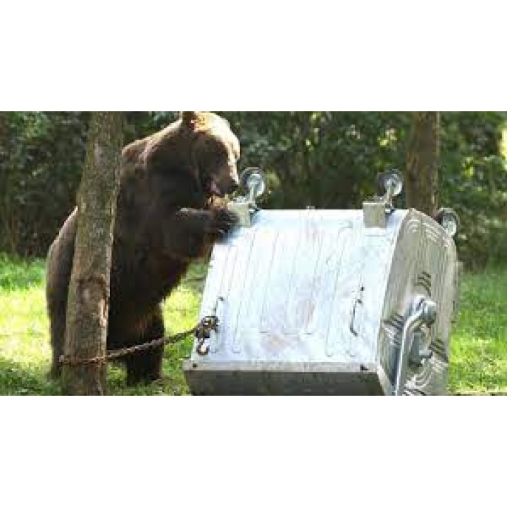 Výskyt medveďa hnedého-vyhlásenie MIMORIADNEJ SITUÁCII